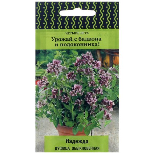 ���������� ������ ����� ������ ���� ������ ������������ ������� 20 ��.