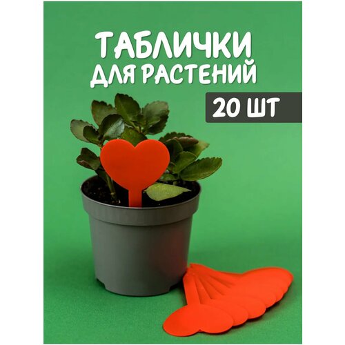 ���������� ��������, ���������, ����� ������� ��� �������� ������� �������� 20��