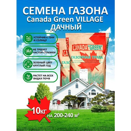 ���������� �������� ����� ������ ������ ���� ������ Village 10 ��/ ������, �������, �������� ������ ��� ������