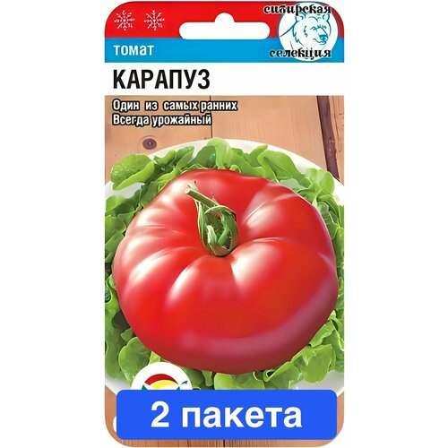 ���������� ������ ������ ��������� ��� 