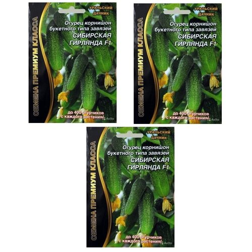 ���������� ������ ������ ��������� �������� (��������� ������), �������� 3 �����