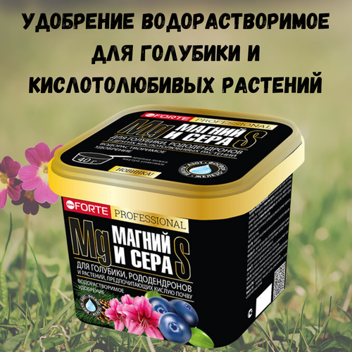 ���������� ��������� ��������������� ��� �������� Bona Forte � ����� � �������, 1 �