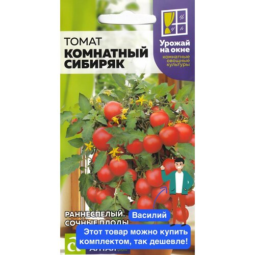 ���������� ������ ������ ������ ����� 