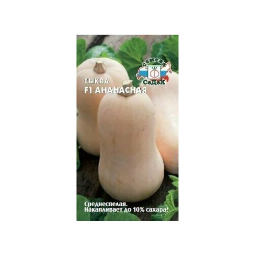 ���������� ������ ����� ����� 