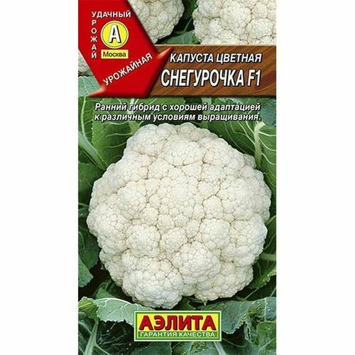 ���������� ������ ������� ������� ���������� F1 (�����������) (������) 5��