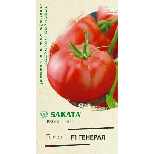 ���������� ����� ������� F1 / ������ / 5 ���� �����