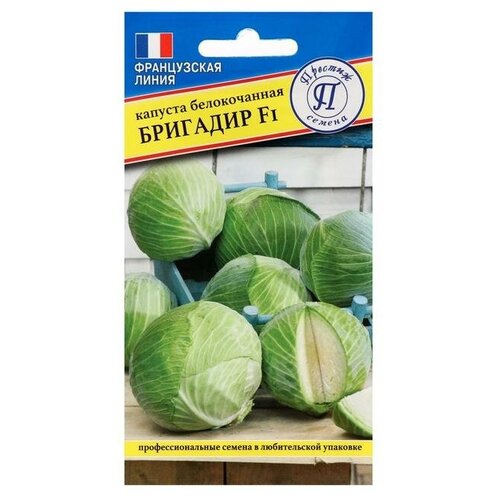 ���������� ������ ������� ������������ 