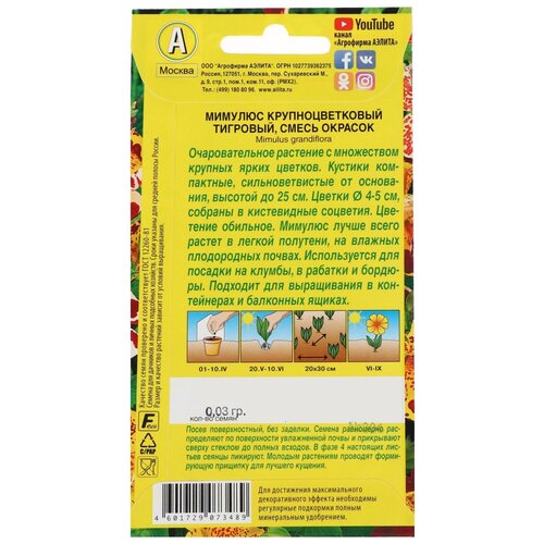 ���������� ������ ������ ������� 