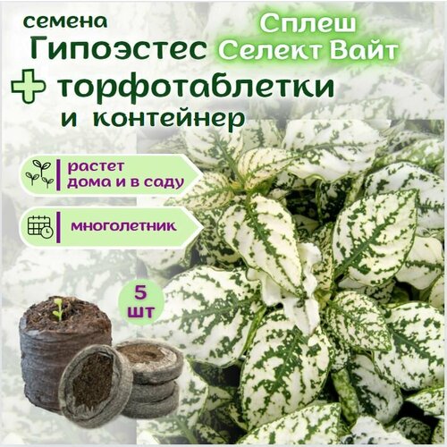 ���������� ��������� ����� ����� ������ ����, �����, ������ + �������� �������� Jiffy � �������, 5 ��