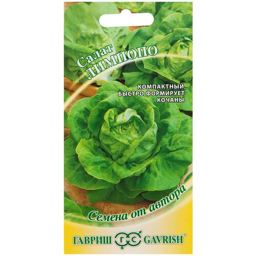 ���������� ������ ����� ���� �������