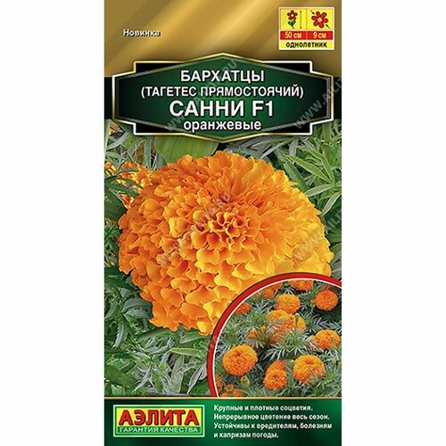 ���������� ������ �������� ����� F1 ��������� ����, ����������, (������) 10�� ������� �����