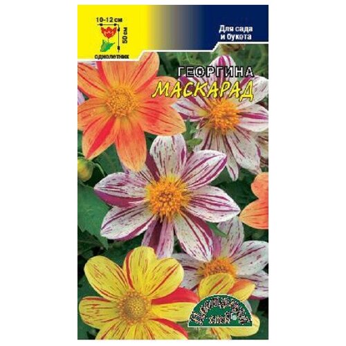 ���������� ������ �������� ��� 