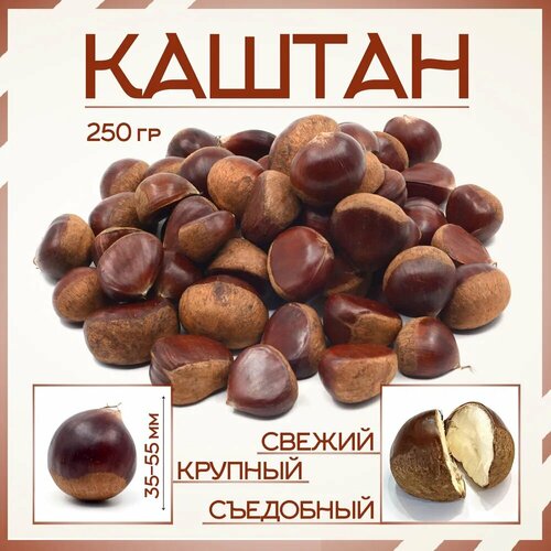 ���������� ����� ������� 250�