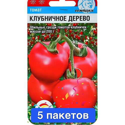 ���������� ������ ������ ��������� ��� 