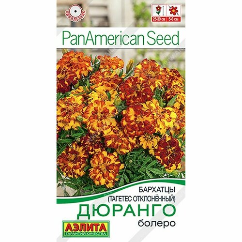 ���������� ������ �������� ������� ������ ����������, (������) 7�� PanAmerican