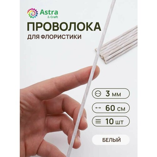 ���������� ��������� �������������� ����� 3 ��*60 ��, 10 ��, � �������� �������, Astra&Craft