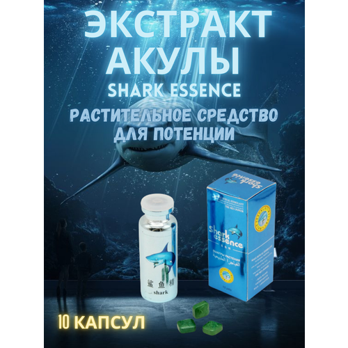 ���������� �������� ����� Shark Essence �������� ��� �������� � ������� � ������ (������), 10 ��������