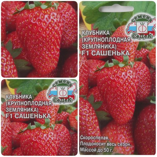 ���������� ������ �������� (������������� ���������) �������� F1 (15 �����)