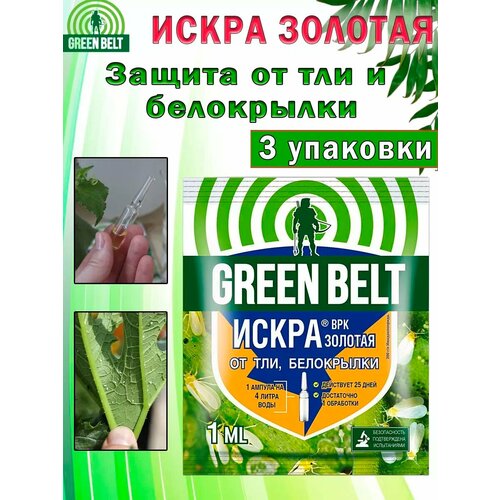 ���������� ����� ������� Green Belt, �� ���, ����������, ������������ ���� 1 ��
