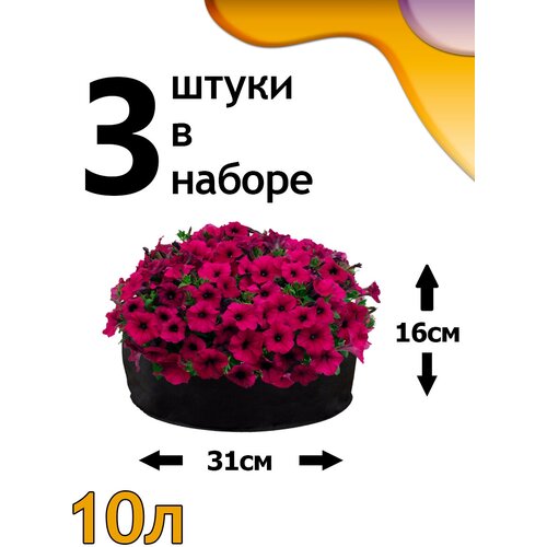 ���������� ������ ���� 10� - 3��