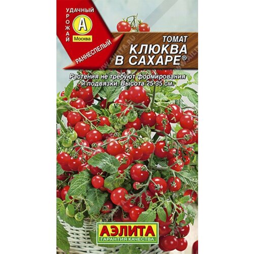 ���������� ������ ����� ������ � ������ ����� 20�� ��� ������ (������)