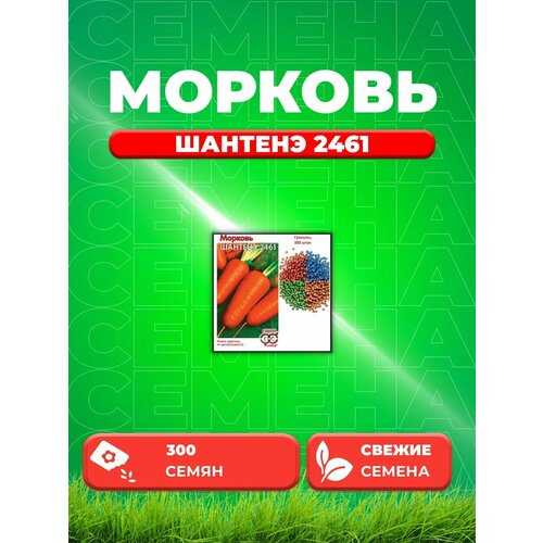 ���������� ������� ������� 2461, �������, 300��