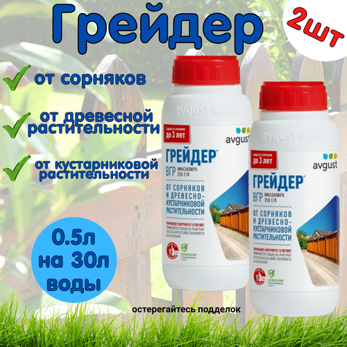 ���������� �������� Avgust 