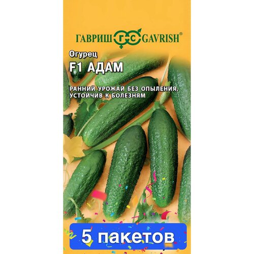 ���������� ������ ������ ������ 