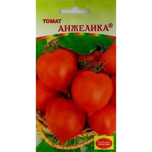 ���������� ������ ����� �������� 15�� �������� ������ (�����)