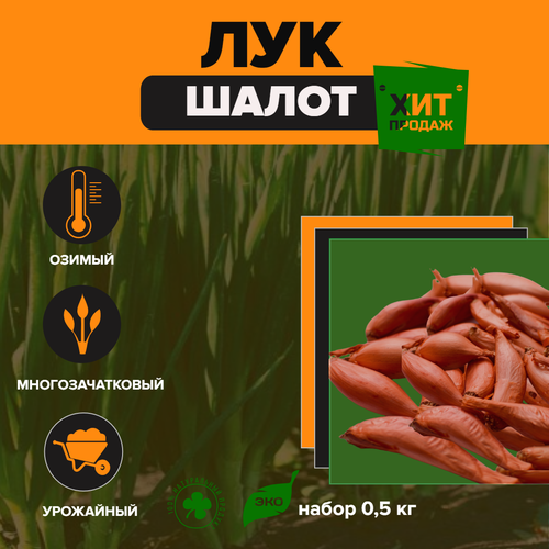 ���������� ��� ����� (��������, ������)