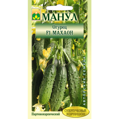 ���������� ������ ����� 