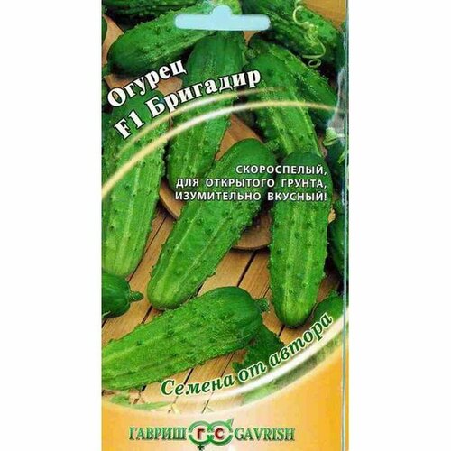 ���������� ������ ������ �������� F1 ��, �����������, (������) 10��