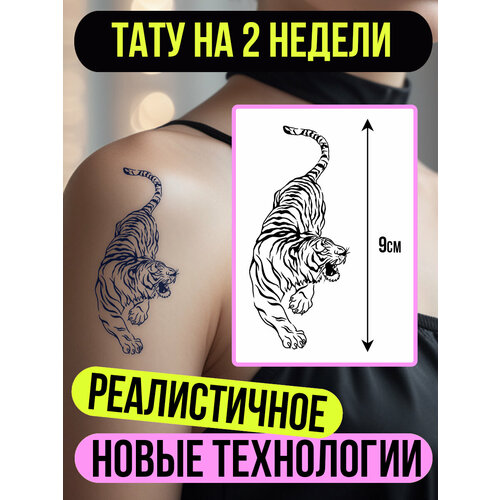 ���������� ���� ���������� �������������� �������� ����