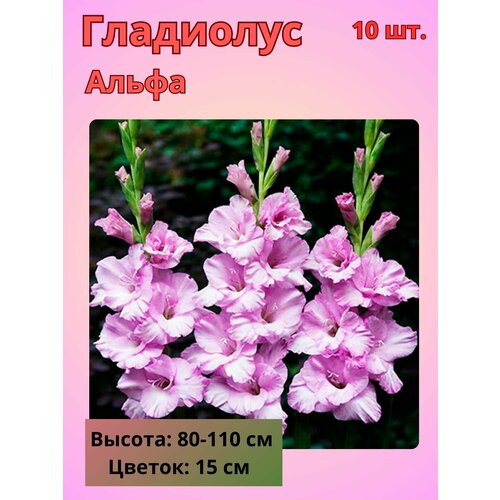 ���������� ��������� ��������������� �����, �������� ����������