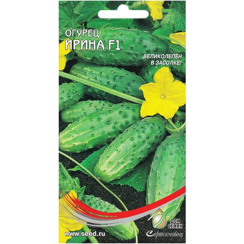 ���������� ������ ����� F1, 10 �����