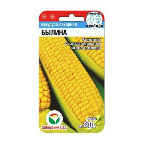 ���������� ������ �������� ������ �������� 6�� ������ (��������� ���)