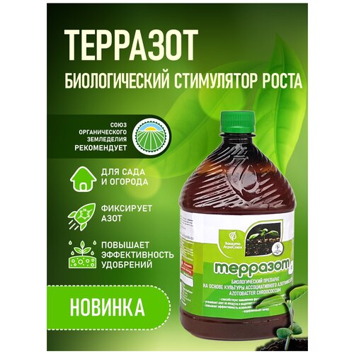 ���������� ������������� ���������� ����� �� ������ �������������� ������������� Azotobacter chroococcum 