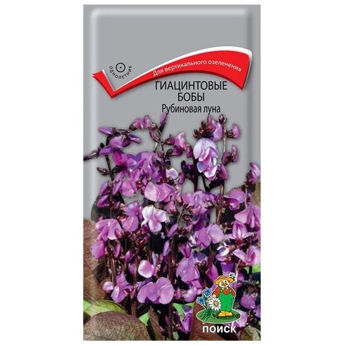 ���������� ������ ����������� ���� ��������� ���� 1 ��