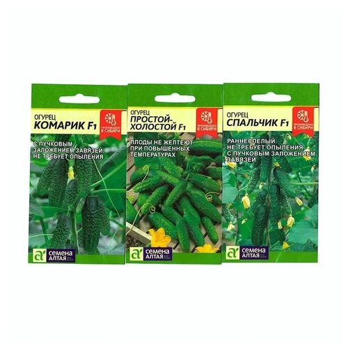 ���������� ����� ����� ������� �������� /������ �����/ 3 ��, (������� F1, ������� �������� F1, �������� F1)