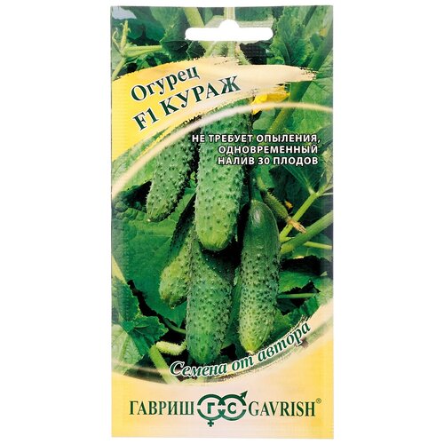 ���������� ������ �����, 10�� (������)