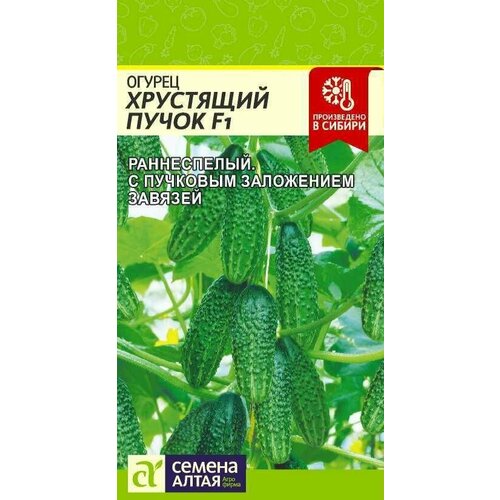 ���������� ������ ��������� ����� F1 6 �����/ ��� ���