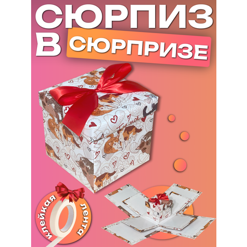 ���������� �������-����������� ���������� / ������� ������������� ��� ���� � ���������