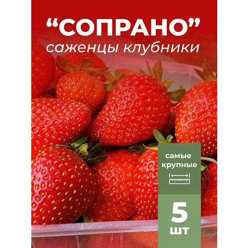 ���������� �������� ����� ������������� �������, �������/��������� �������� 5 ��