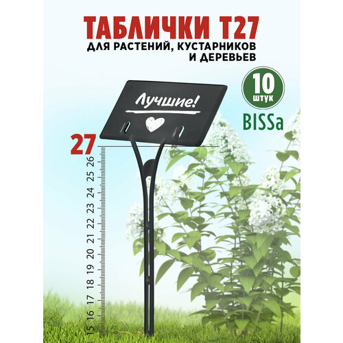 ���������� ������� �������� ��� ��������, Bissa �27, ������, 10 ��