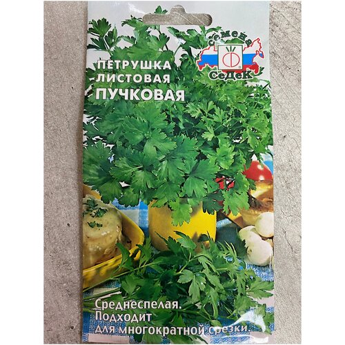 ���������� �������� �������� ��������, ������ ( 1 ��: 2 � )