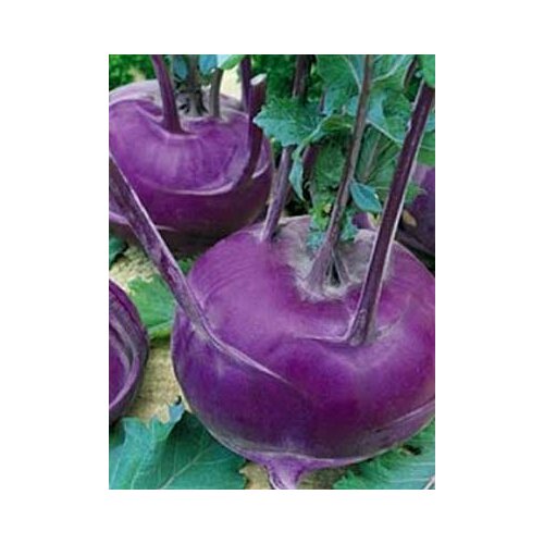 ���������� ������ ������� �������� ������� ������� 0.3� (������) ����� �����