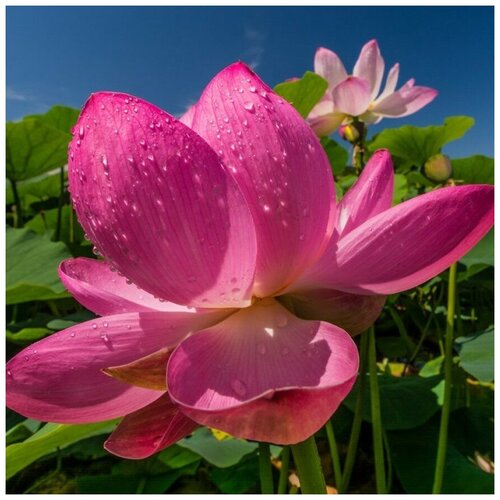 ���������� ������ ������ ����� ����������� 5 ��.