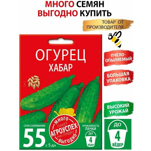 ���������� ������ �����, ������ ��������� �����-������� 3�