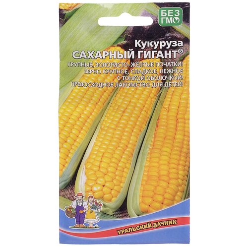 ���������� ������ �������� 