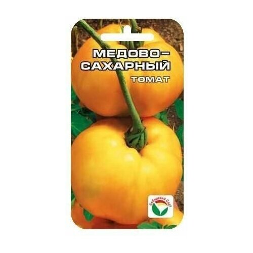 ���������� ������-�������� 20�� ����� (��� ���)